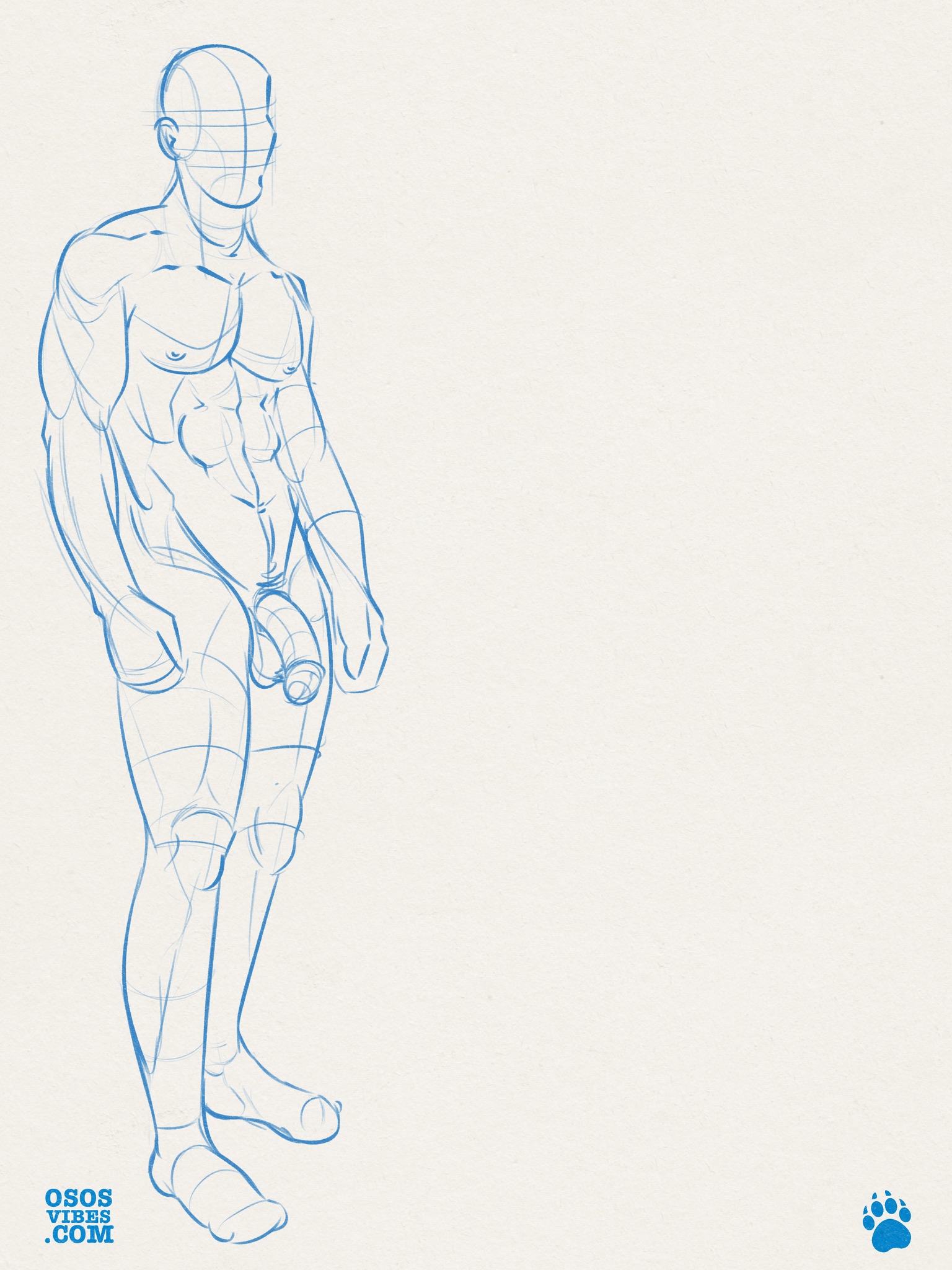 Sketch of a male body